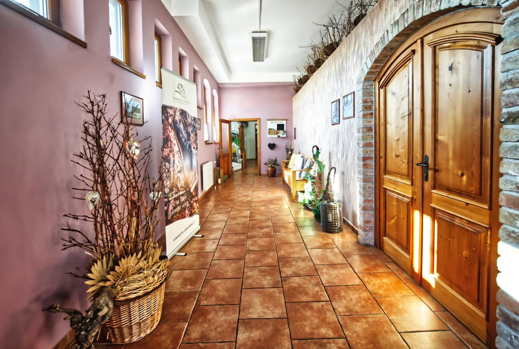 Penzion Vinarstvi Cervinka Horni Vestonice Exterior photo